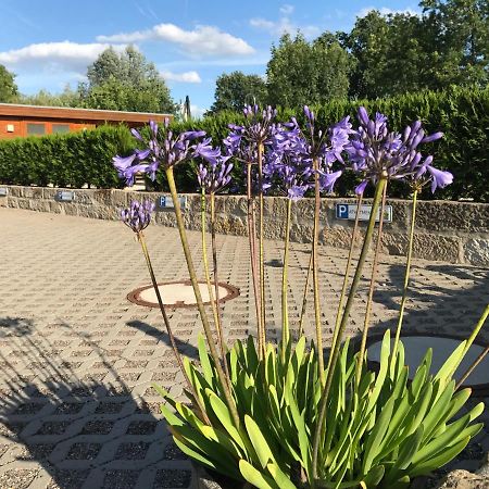 Apartamento Kaitzbach-Idylle Dresde Exterior foto