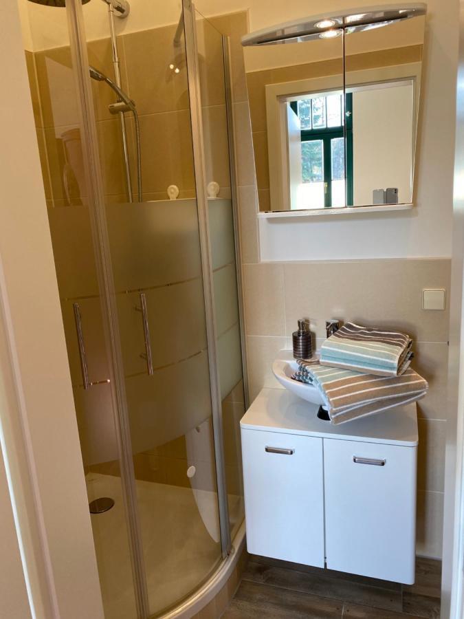 Apartamento Kaitzbach-Idylle Dresde Exterior foto