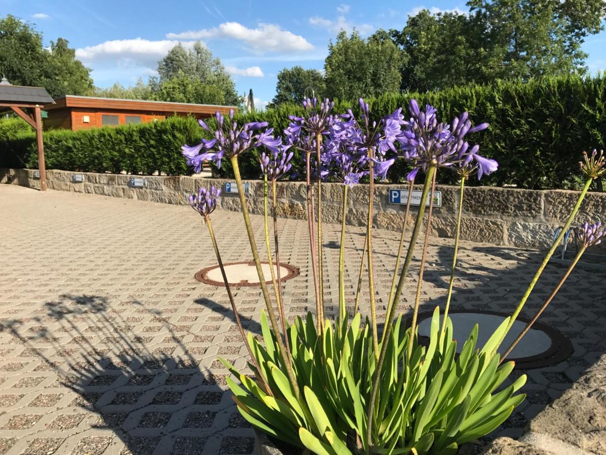 Apartamento Kaitzbach-Idylle Dresde Exterior foto
